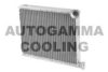 AUTOGAMMA 107275 Heat Exchanger, interior heating